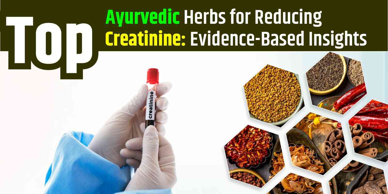 Top Ayurvedic Herbs for Reducing Creatinine: Evidence-Based Insights